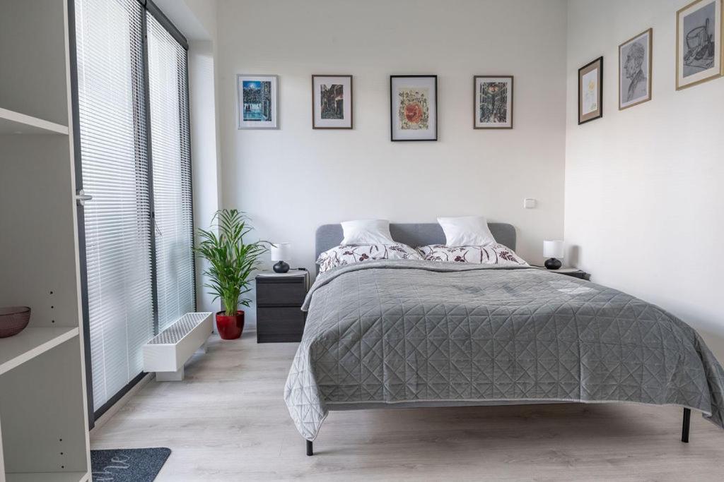 Apartament Nove Sady Ołomuniec Zewnętrze zdjęcie